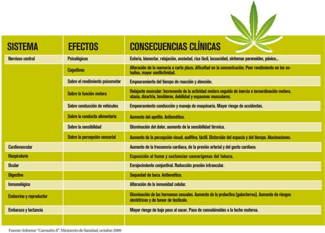 Los Efectos Del Cannabis - Magisnet